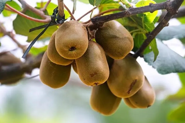 8b13632762d0f7038ed89b1e2641f4312497c5d5.webp (1).jpg